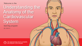 Understanding the Anatomy of the Cardiovascular System