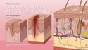 Understanding the Physiology of the Skin