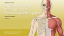 Understanding the Anatomy of the Musculoskeletal System