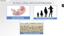 Understanding the Physiology of the Musculoskeletal System