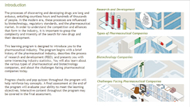 The Pharmaceutical Industry – From Lab to Market